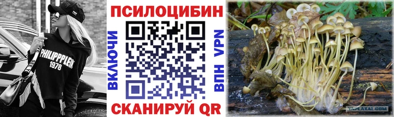 Псилоцибиновые грибы Psilocybe наркошоп Нурлат